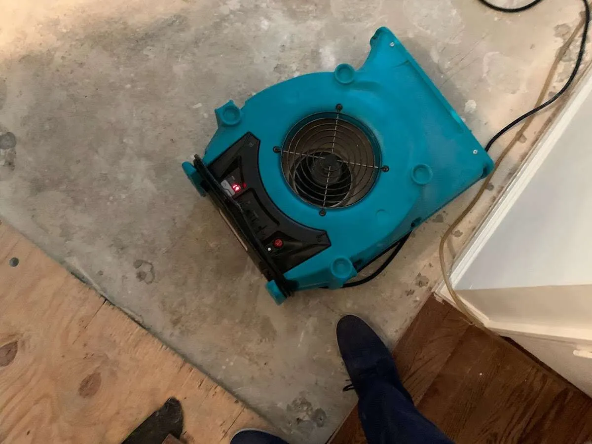 Air mover drying subfloor during Commercial Water Damage Restoration in Donna